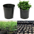 100x Pflanztöpfe  Blumentöpfe Töpfe Anzuchttöpfe Grow-Anzucht Container Desch