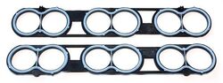 ELRING 025.310 Dichtung, Ansaugkrümmergehäuse für FORD FORD USA