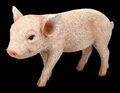 Schweine Figur - Kleines Schweinchen - Ferkel Dekofigur Tierdekoration 13,5cm