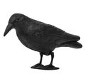 Taubenschreck Vogelscheuche Taubenabwehr Vogelabwehr Vogel stehende Krähe Rabe