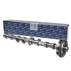 KOLBENSCHMIDT Nockenwelle AUDI SKODA VW 1,8 06H109021J BYT BZB CABA CABB CABD
