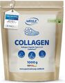 Kollagen Peptide (1000g Beutel) Bioaktives Premium Collagen Hydrolysat Peptide