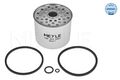 MEYLE 100 323 0007 Kraftstofffilter für AUDI CITROËN  passend für FIAT FORD