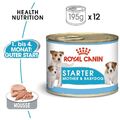 ROYAL CANIN Starter Mousse Mother & Babydog 24x195 g