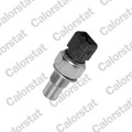 Kühlmittel Wasser Temperatur Sensor CALORSTAT by Vernet WS2502 für 306 CITROËN 2