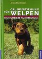 Grunderziehung für Welpen: Fichtlmeiers Hundeschule von ... | Buch | Zustand gut