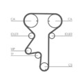 Continental Ctam CT975WP2 Wasserpumpe + Zahnriemensatz für Opel Saab Vauxhall
