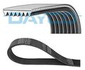 DAYCO 7PK1601 Keilrippenriemen
