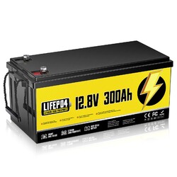 Lithium Batterie 12V 24V 48V 100AH/300Ah LiFePO4 Akku BMS Wohnmobil Solaranlage0% MwSt. bei § 12 Abs. 3 UStG*