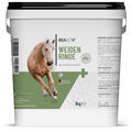 REAVET Weidenrinde geschnitten für Pferde 1kg –  für Gelenke & Bewegungsapparat