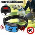 Antibell Hundehalsband 3in 1 Erziehungshalsband Hunde Für Haustier Wasserdicht