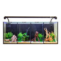Aqua One Betta Quad Aquarium