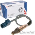 BOSCH LAMDASONDE NACH KATALYSATOR passend für NISSAN PRIMERA HATCHBACK X-TRAIL