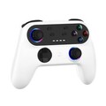 Wireless Gaming Controller für Nintendo Switch mit anpassbaren Tasten