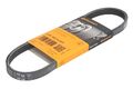 CONTITECH Keilrippenriemen 4 PK 643 ELAST für CHEVROLET AVEO/KALOS/CRUZE; OPEL