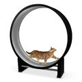 Katzenlaufrad - hellgrau, das Katzenspielzeug für ausreichend Auslauf & Fitness