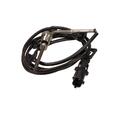 Delphi TS30023 Sensor Abgastemperatur für Opel Astra H L48 Astra H GTC L08 L69
