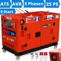 Stromerzeuger Diesel 18kVA Notstromaggregat 400V Stromaggregat Generator E-Start