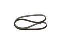 BOSCH Keilrippenriemen  u.a. für CITROËN, NISSAN, OPEL, RENAULT, ROVER, TOYOTA