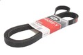 Keilrippenriemen GATES 6PK2490 für AUDI Q7 (4LB) 3 2006-2008