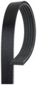 Gates 5PK1815 Keilrippenriemen für BMW CHRYSLER LAND ROVER OPEL