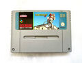 Paperboy 2 Super Nintendo SNES