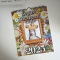 2024 Weird Medieval Cats Calendar Funny Cats Wall Calendar Christmas Gag Gift