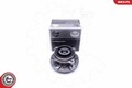 ESEN SKV Radlagersatz 29SKV366 für BMW 2er Active Tourer F45 X1 F48 X2 F39 F46