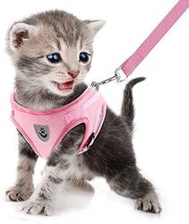 FEimaX Katzengeschirr Hundegeschirr mit Leine Ausbruchsicher Weich Mesh Welpe...