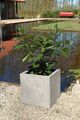 Pflanzkübel Blumenkübel "Block" 30x30x30cm aus Fiberglas, Beton-Design, Grau