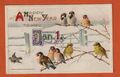 John Winsch 1911 geprägte Happy New Year Postkarte, viele Vögel