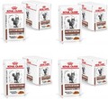 Royal Canin Veterinary Feline Gastrointestinal Moderate Calorie in Soße 48x85g