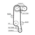 1x Zahnriemen GATES 5565XS passend für AUDI SEAT SKODA VW