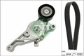 INA Keilrippenriemensatz (529 0469 10) für VW Caddy III Jetta SKODA Octavia 