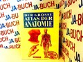 Der große Atlas der Anatomie , unbekannt: