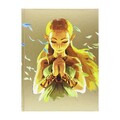 Offizielles komplettes The Legend Of Zelda Breath Of The Wild Guide [PO165917]