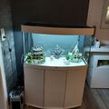 akwarium.fisch Juwel 75l