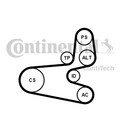 Keilrippenriemensatz CONTINENTAL CTAM 6PK1560K1 für 206 PEUGEOT PARTNER 2E SW 2A