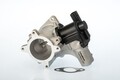 BORGWARNER (WAHLER) AGR-VENTIL ABGASRÜCKFÜHRVENTIL passend für VW CRAFTER 2.5TDI