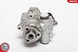 ESEN SKV Hydraulikpumpe Lenkung 10SKV018 für GOLF BEETLE VW NEW BORA SEAT FORD 4