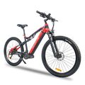 Heda 1000W Elektrofahrrad 19,2Ah 29'' E Mountainbike Herren E-Bike 27 Gange NEUE