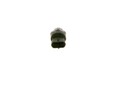 Bosch Drucksensor 0 281 006 117