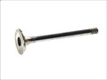 Auslassventil FRECCIA R4609/RCR für CITROEN XM (Y4) 2 1994-1999