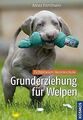 Grunderziehung für Welpen: Fichtlmeiers Hundeschule von ... | Buch | Zustand gut