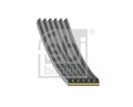 FEBI KEILRIPPENRIEMEN 6PK923 EST passend für AUDI A4 A5 A6 A7 A8 Q5 Q7 Q8 | 1858
