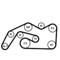 CONTINENTAL CTAM Keilrippenriemensatz 6PK2490K1 für AUDI
