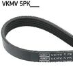 SKF Keilrippenriemen  u.a. für ALFA ROMEO, CITROËN, FIAT, LANCIA, PEUGEOT
