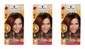 3x Schwarzkopf Country Colors Intensivtönung 65 Highlands Kastanie , EA523677