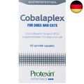 Protexin Cobalaplex Hunde und Katzen 60 Kapseln (Protexin Cobalaplex Hunde und