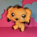 Littlest Pet Shop LPS 575 - Authentic Spaniel Dog Hund + Random Pets Included!